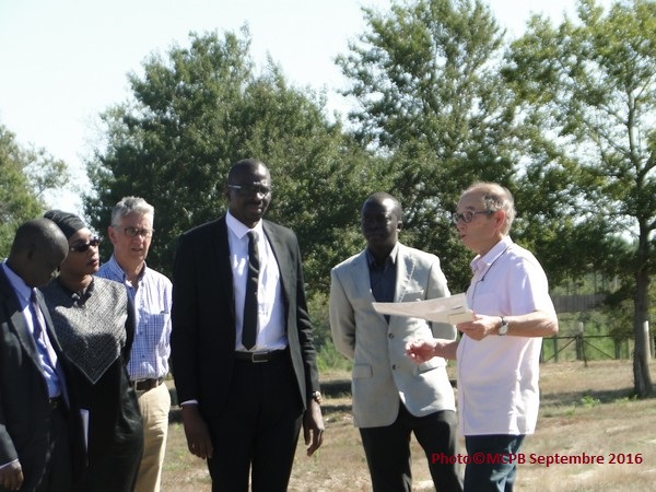 Visite du Consul Général de la république du Sénégal, Abdourahmane Koïta et de Madame la Vice Consul, Aïssata Dia